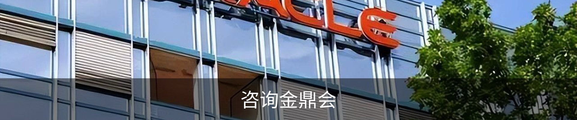 咨询金鼎会